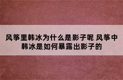 风筝里韩冰为什么是影子呢 风筝中韩冰是如何暴露出影子的